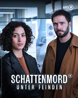 《阴影谋杀：恐惧之下》 Schattenmord: Unter Feinden