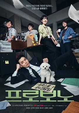 公益律师 프로보노